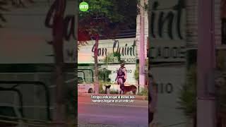 Atentado al Bar Belfast deja tres personas muertas en Celaya [upl. by Ignace]