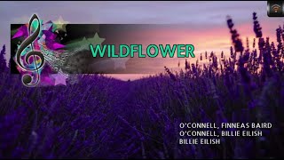 MAGICSING Karaoke BILLIE EILISH  WILDFLOWER karaoke  pop [upl. by Rhett504]