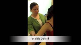 Manual Muscle Test for Middle Deltoid [upl. by Eicul]