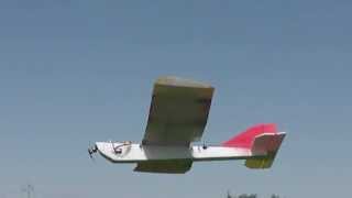 Doug Flying Albatross in Wind [upl. by Brenton]