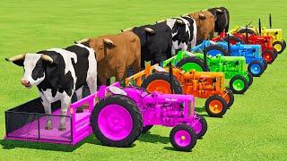 TRANSPORTING BULLS WITH ZETOR MINI TRACTORS amp FORD TRUCKS  Farming Simulator 22 [upl. by Beckie]