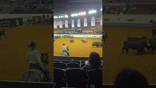 AQHA world show in Oklahoma city Working the cows [upl. by Orravan]