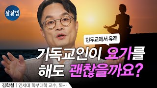 요가에 깊이 들어가면 영적인 영향을 받을까요ㅣ연세대 김학철 교수ㅣ잘잘법 216회 [upl. by Brantley119]