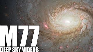 M77  A Special Kind of Galaxy  Deep Sky Videos [upl. by Noryk]