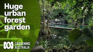 A dream forestscape garden with pool waterfall amp wildlife  Indonesia Special  Gardening Australia [upl. by Qerat]