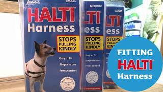 No Pull Dog Lead Halti Double Ended Lead [upl. by Ruperta]