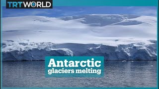 The antarctic glaciers are melting [upl. by Wicks]