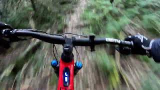 wollongong mtb kembla fat attack with low fat [upl. by Oiromed140]