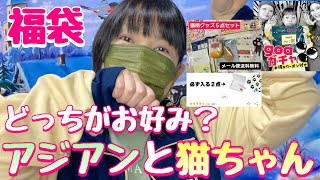 【福袋】アジアン福袋と猫ちゃん福袋（リピするならどっち？）楽天市場大きいサイズ [upl. by Yahc623]