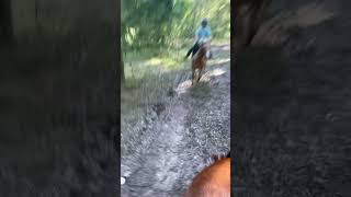 First time cantering on my horse Dolly horse blowup [upl. by Mohkos164]