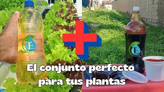 2️⃣ Colosos Lejía de Cenizas ⛰️ y Melaza 🥃 conjunto 🦸➕🧌 perfecto en tus cultivos 🍅🥬🍓🌿🍀♻️ [upl. by Laitselec]