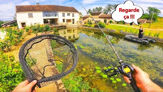 Le vieux jardin de cet abonné est très spécial et on pêche dedans [upl. by Eudosia505]