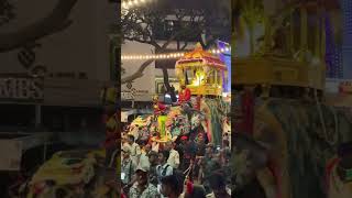 trending mysore ambari chamundeshwari abhimanyu festival gajapade chinna nadahabba [upl. by Halyhs]