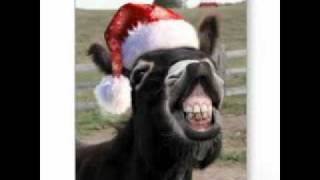 Lou Monte Dominick The Donkey The Italian Christmas Donkey Lyrics Sung by AaronStamp [upl. by Nosnah]