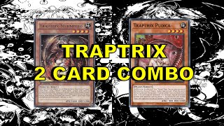 TRAPTRIX 2 CARD COMBO Myrmeleo  Pudica [upl. by Ardisj]