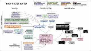 Endometrial cancer mechanism of disease [upl. by Eltsyrk]