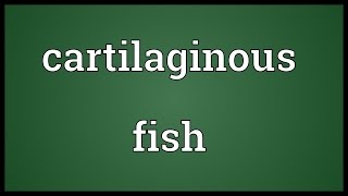 Cartilaginous fish Meaning [upl. by Enilrek]