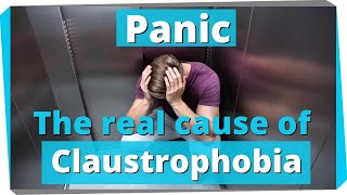 Claustrophobia and Panic Attacks What Causes Claustrophobia [upl. by Ellenahc]