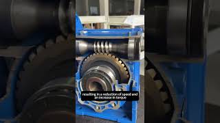 RV series reducers reducer worms gearbox machine factory [upl. by Clippard732]