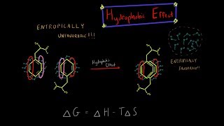 The Hydrophobic Effect and Entropy Biochemistry MADE SUPER SIMPLE [upl. by Kcid]