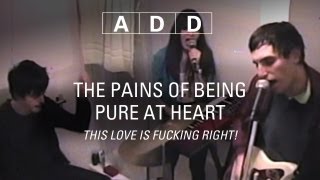 The Pains Of Being Pure At Heart  This Love Is Fucking Right  ADD [upl. by Nahtnaoj]