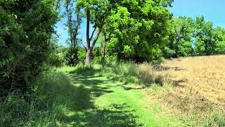 Norristown Farm Park  A Walk Off The Main Trail  1 June 2024 [upl. by Iveson]