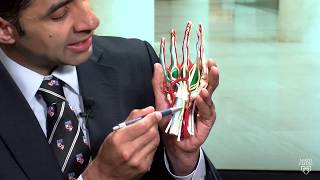 Mayo Clinic Minute What is carpal tunnel syndrome [upl. by Oberg]