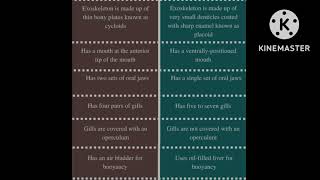 difference between cartilaginous and bony fish with diagram [upl. by Turnheim659]