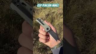 Qsp penguin mini viralvideoChaseedc pocketknife knifetricks shortsfeed natureeverydaycarry [upl. by Korwun]