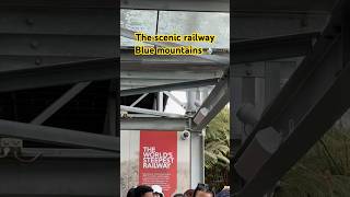 Scenic railway The Bluemountains 🚃 railways bluemountainsaustralia viralvideo viralshorts [upl. by Anak672]