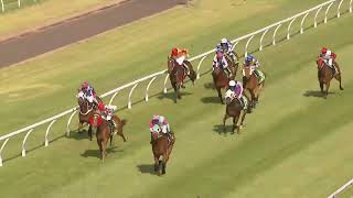 Toowoomba 20241105 Race 5 [upl. by Ahsinor]