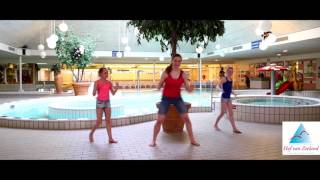 Ochtendgymnastiek Dansinstructie video Minidisco Vakantiepark Hof van Zeeland [upl. by Icrad]