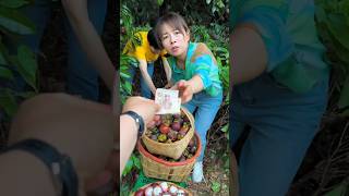 Beautiful Mangosteen Fruit Harvesting from Farm with Rural Farmer 👍shorts youtubeshorts [upl. by Namruht465]