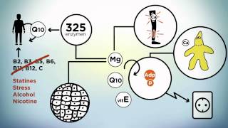 Voeding mineralen en magnesium [upl. by Polivy]