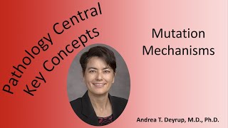 Medical School Pathology Mutation Mechanisms [upl. by Sundstrom53]