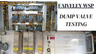 FAIVELEY DUMP VALVE TESTING PROCESS FAIVELEY COMPANY WSP WHEEL SLIDING PROTECTION [upl. by Pish]