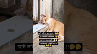 কার কার ছোট ভাই বোনরা এমন দেখিতো 🥹 funny trending foryou [upl. by Latona]