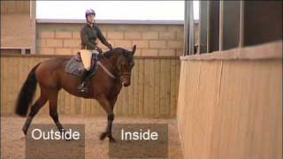 Flatwork Training for Showjumping [upl. by Tugman710]