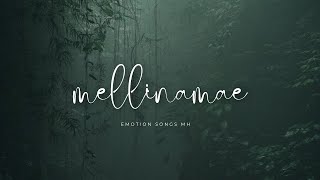 mellinamae mellinamae  Tamil cover songs  Lyrics [upl. by Dearborn]