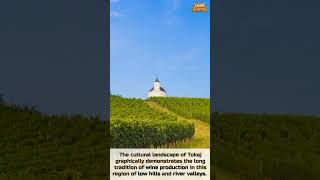 Tokaj Wine Region Historic Cultural Landscape [upl. by Enwahs798]