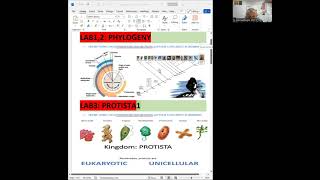 BSC1011L MODULEI ORGANISMAL BIOLOGYSYSTEMATICS ALGAE NONVASCPLANTAE [upl. by Ilsel238]