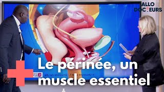 Comment protéger votre périnée   Allo Docteurs [upl. by Lezah302]