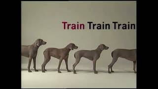 Sesame Street  Wegman’s Dogs T for Train [upl. by Wailoo893]