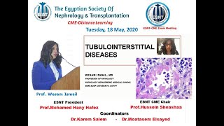 Tubulointerstitial Diseases English and Arabic Prof Wesam Ismail 18 May 2020 [upl. by Kuhlman212]