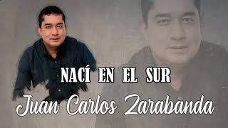 Juan Carlos Zarabanda  Naci en el Sur Audio Oficial [upl. by Ttoille]