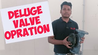 DELUGE VALVE KAISE KAM KARTA HAI  HOW DOES WORK DELUGE VALVE [upl. by Javler]