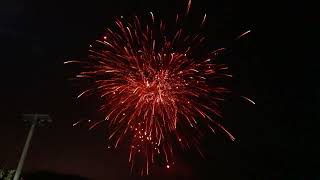 The Dogz Compound Firework From Celtic Fireworks  CCP019 [upl. by Eicyal]