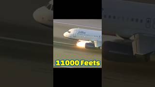 Jet blue flight Incident 😳 usa jetblue shorts short viral trending shortvideo [upl. by Drye]