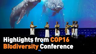 Highlights from COP16 Biodiversity Conference [upl. by Iddet]