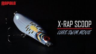 Rapala  XRAP Scoop  スクープ  水中映像 【FIMO LURE LAB】 [upl. by Phelia917]